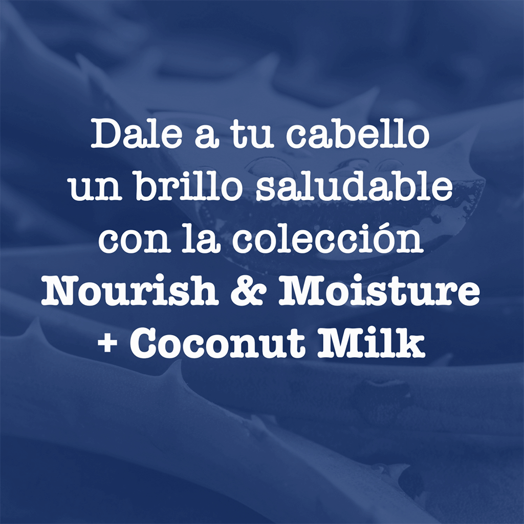 Maui Moisture Shampoo Nutritiva y Humectante + Leche de Coco + Coconut Milk 385 ml